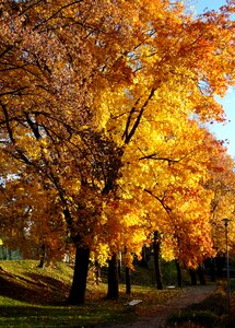Park landscape october