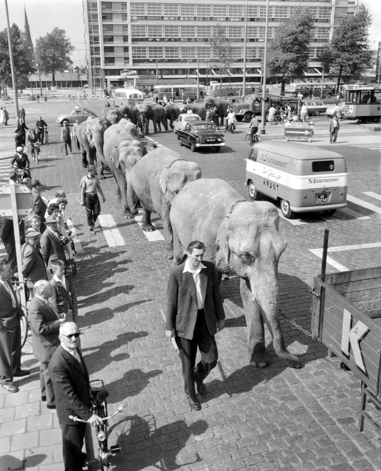 Aankomst circus Krone in Rotterdam, Bestanddeelnr 910-3974