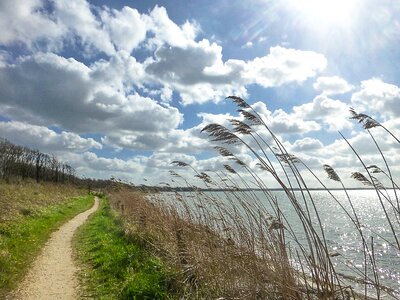 Baltic sea nature blue