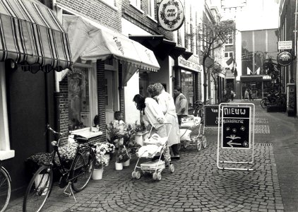 Aangekocht in 1989 van United Photos de Boer bv. - Negatiefnummer 29749 k 32 A. - Gepubliceerd in het Haarlems Dagblad van 14.11.1988. Identificatienummer 54-023625