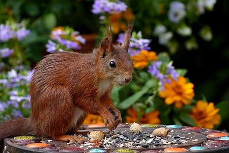 Mindfulness garden food