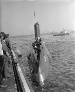 Aankomst atoomduikboot Skate in Den Helder, Bestanddeelnr 909-8165
