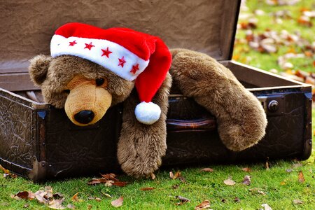 Teddy soft toy stuffed animal
