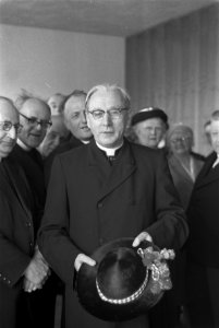 Aankomst kardinaal Alfrink uit Rome, Bestanddeelnr 911-1551