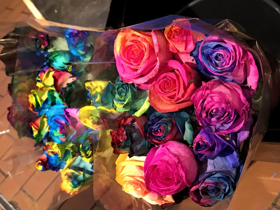 Flowers valentine's day love