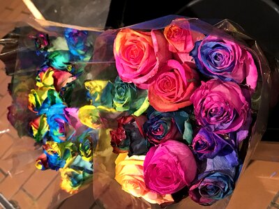 Flowers valentine's day love