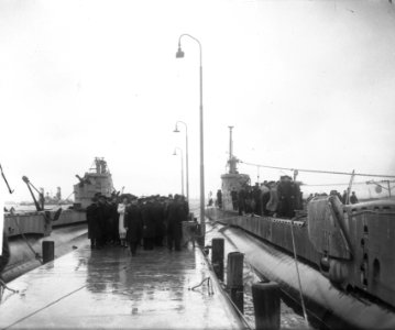 Aankomst O.24 en zeehond in Rotterdam, Bestanddeelnr 903-3026