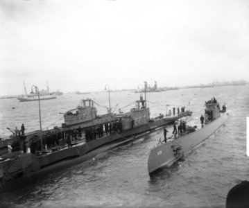 Aankomst O.24 en zeehond in Rotterdam, Bestanddeelnr 903-3021
