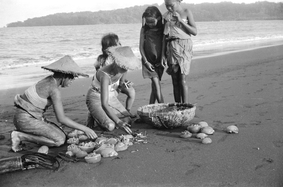 Aan het strand van Tjilatjap wordt druk gevist met behulp van sleepnetten, die d, Bestanddeelnr 1614-3-5
