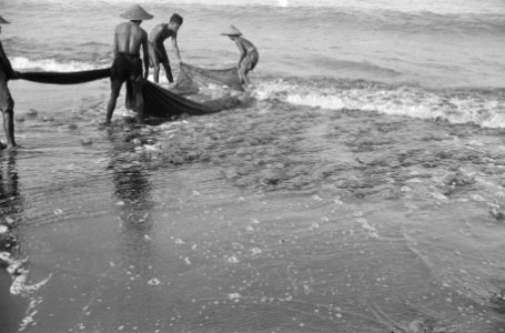 Aan het strand van Tjilatjap wordt druk gevist met behulp van sleepnetten, die d, Bestanddeelnr 1614-2-3