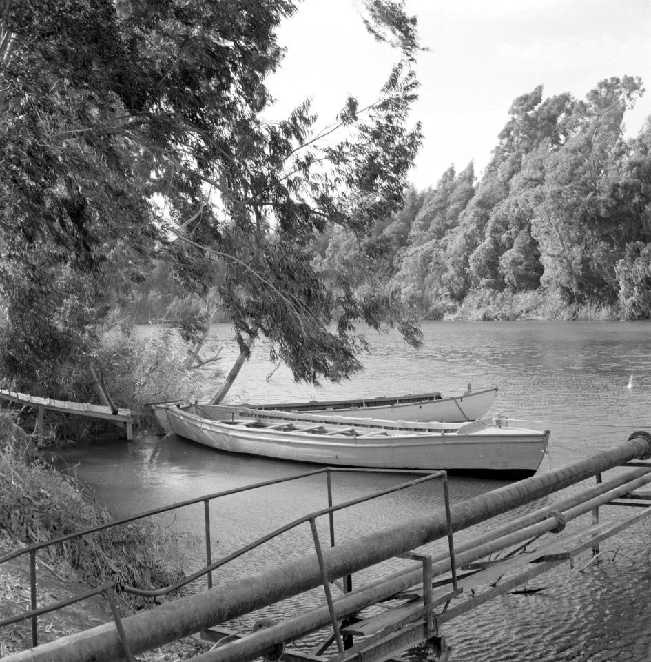 Aan de begroeide oever van de rivier de Jordaan bij het Meer van Tiberias met tw, Bestanddeelnr 255-4134