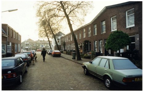 Aan de Korteweg staat een rijtje van 5 elzen zò scheef, dat ze gerooid moeten worden. Naarmate de bomen doorgroeien en de kronen zwaarder worden neemt het gevaar toe dat ze zullen omvallen. , NL-HlmNHA 54036154