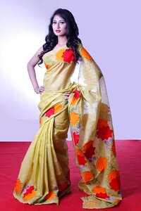 Female fashion traditional