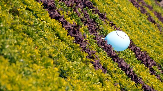 Balloon greenery happy