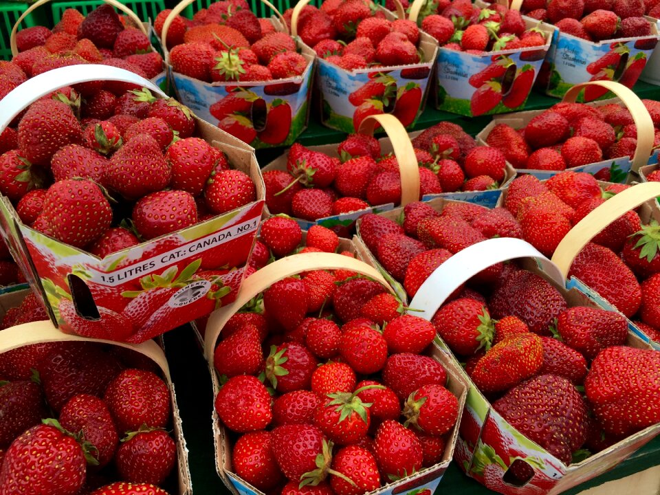 Fresh local organic
