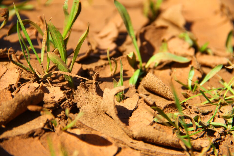 Dry nature environment