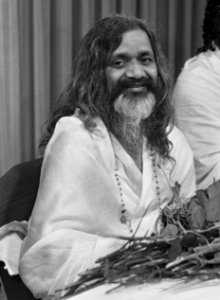 Aankomst Maharish Makesh Yogi op Schiphol. M. M. Yogi vergezeld van Dramayari Do, Bestanddeelnr 920-6591 (cropped2)