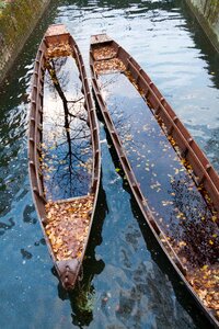 Danube autumn leaves photo