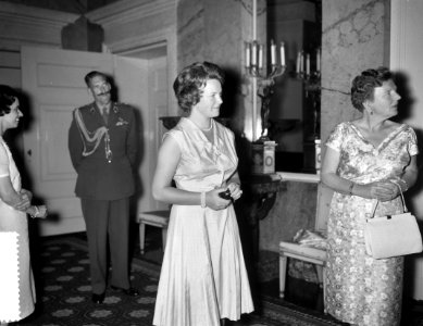 Aanbieden cadeaus aan Prinses Irene, Bestanddeelnr 911-4810