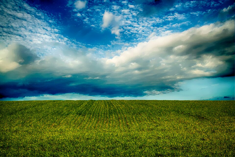 Nature landscape grass