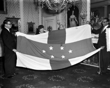 Aanbieden nieuwe vlag Antillen aan de Koningin, Bestanddeelnr 910-8605