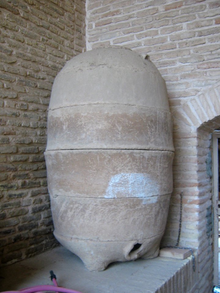 Abbasid Caravanseray of Nishapur (Ribati-i-Abbasi of Nishapur) - Morning 125