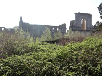 Abbaye d'Aulne vue de l'ouest