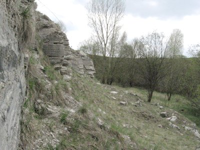 Abbaukante im alten Gipsbruch am Alten Galgenberg bei Bühlertann
