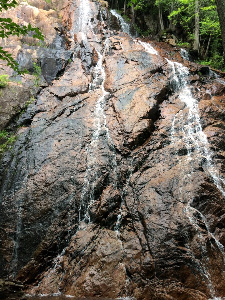 Granite forest stone