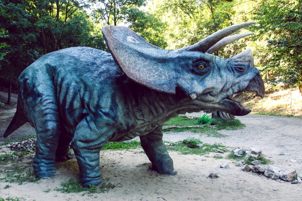 Dinopark dinosaur triceraptos