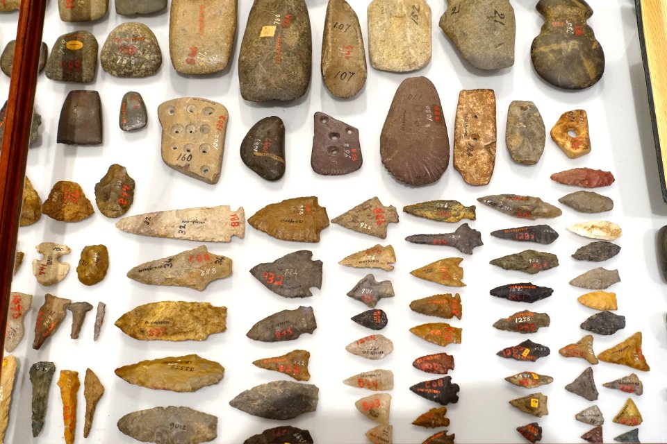 Abbott Farm artefacts - Native American collection - Peabody Museum, Harvard University - DSC06073
