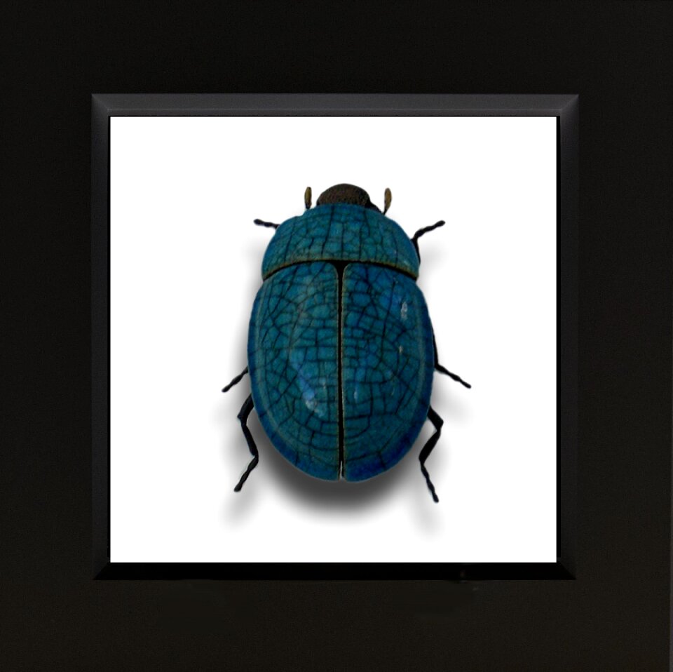 Insect art animal