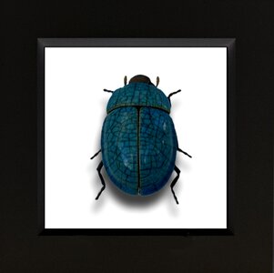 Insect art animal