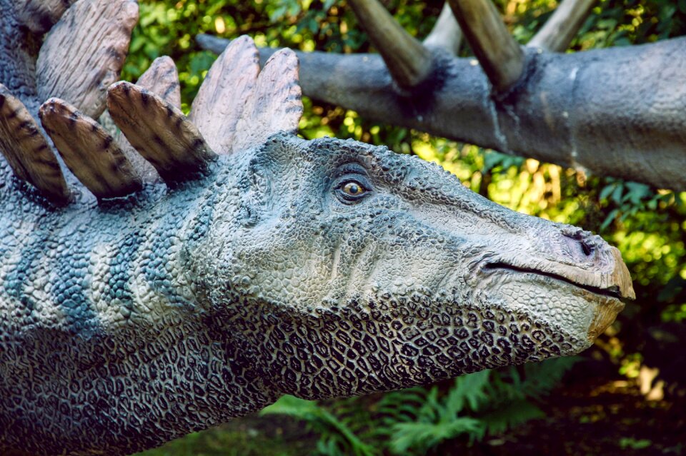 Dinopark dinosaur stegosaurus