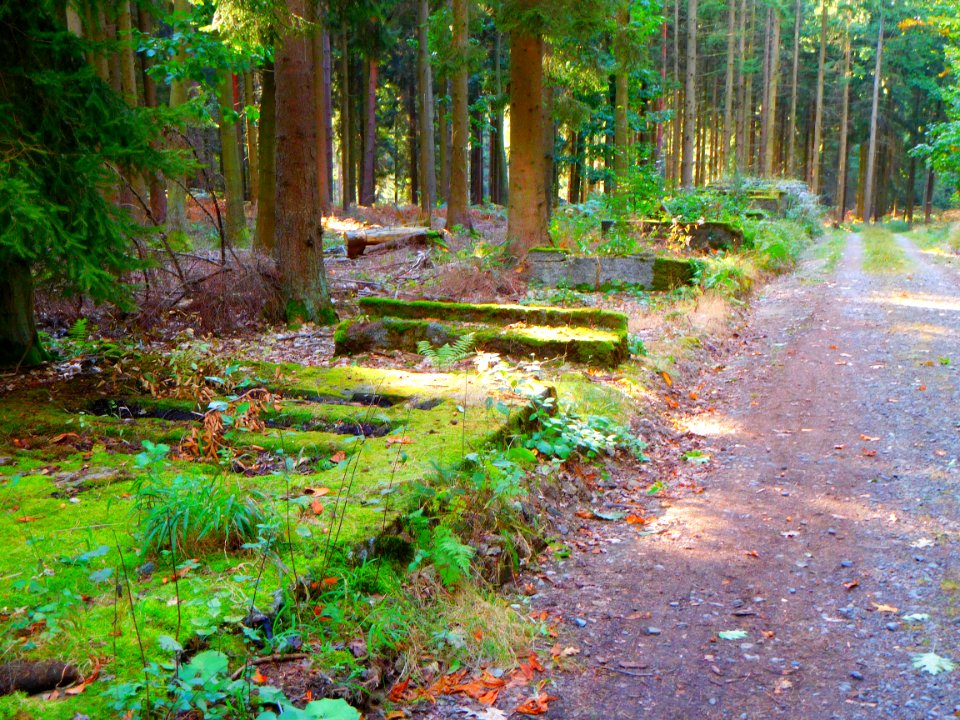 Abschussrampe V-1 im Erpeler Kirchspielwald 2016