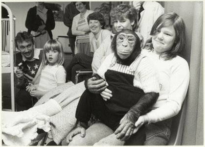 Aap van circus Mullens op bezoek op de kinderafdeling van het St. Elisabeths Gasthuis in Schalkwijk. NL-HlmNHA 54025757 01