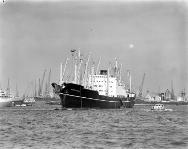 Aanvaring in Rotterdamse haven de Taurus en de Astrid Bakke De schade aan , Bestanddeelnr 913-6172