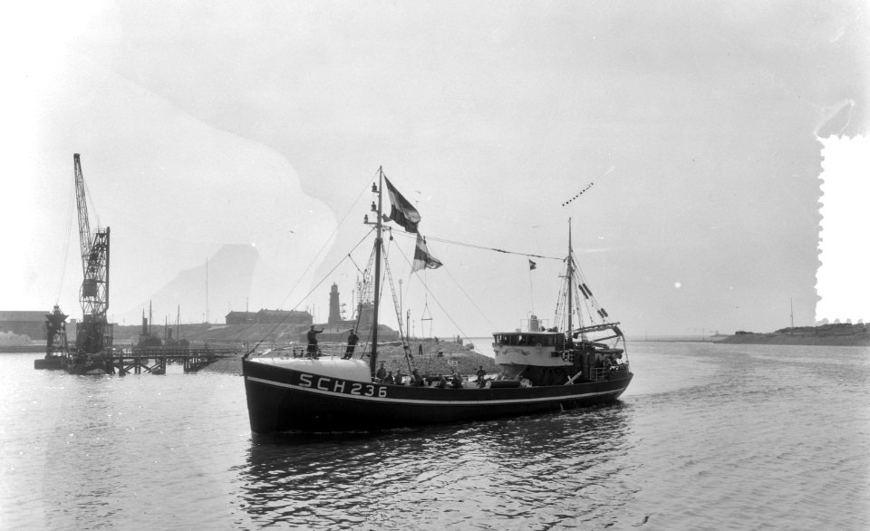 Aanvoer eerste nieuwe haring IJmuiden, Schip 236 Noordste schipper Kees de Graaf, Bestanddeelnr 906-4905
