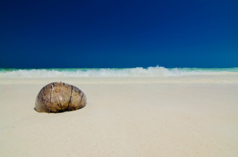Seashore seaside tour