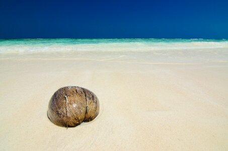 Seashore seaside tour photo