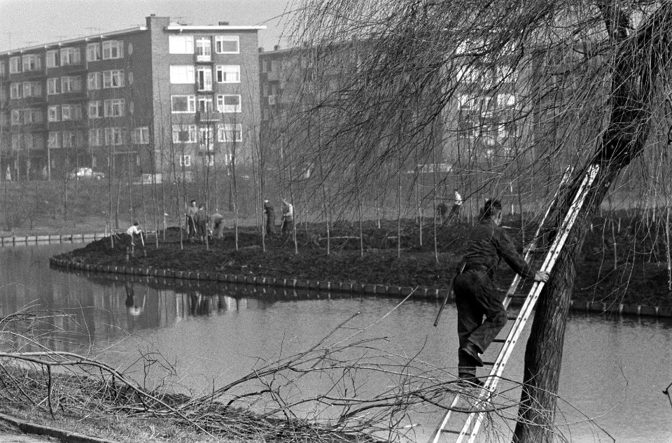 Aanplant van bomen in Erasmuspark, Bestanddeelnr 912-1926