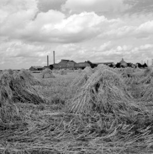 Aardappelmeelfabriek, exterieur, de toekomst nv nieuwe compagnie, Bestanddeelnr 165-0299