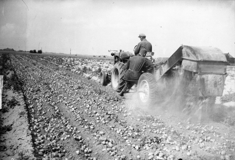 Aardappelrooimachine in Friesland, Bestanddeelnr 903-5776
