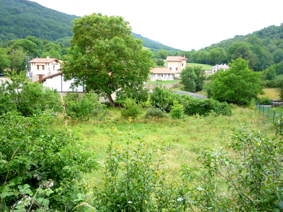 Abezia (Urkabustaiz) 31