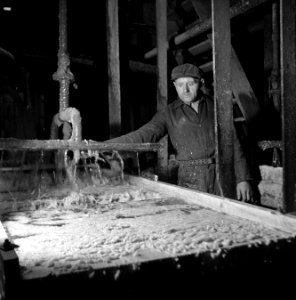 Aardappelmeelfabriek Wildervank, Bestanddeelnr 901-3283
