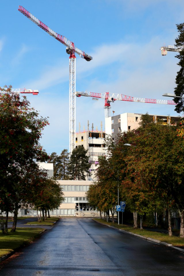 Aapistie Oulu 20200913
