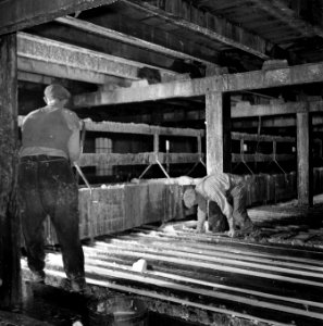Aardappelmeelfabriek Wildervank, Bestanddeelnr 901-3281