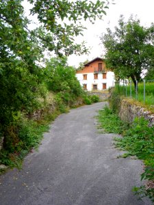 Abezia (Urkabustaiz) 24