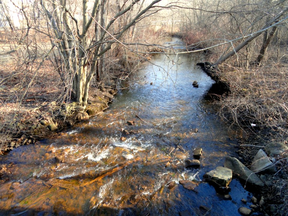 Aberjona River - Winchester, MA - DSC04247
