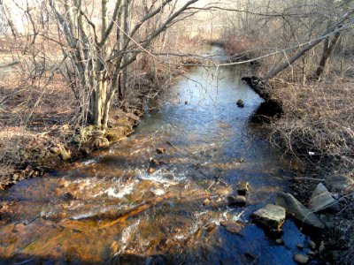 Aberjona River - Winchester, MA - DSC04247
